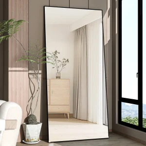 Full Length Mirror 65" * 24